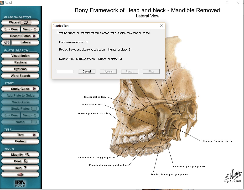 netter atlas of human anatomy pdf